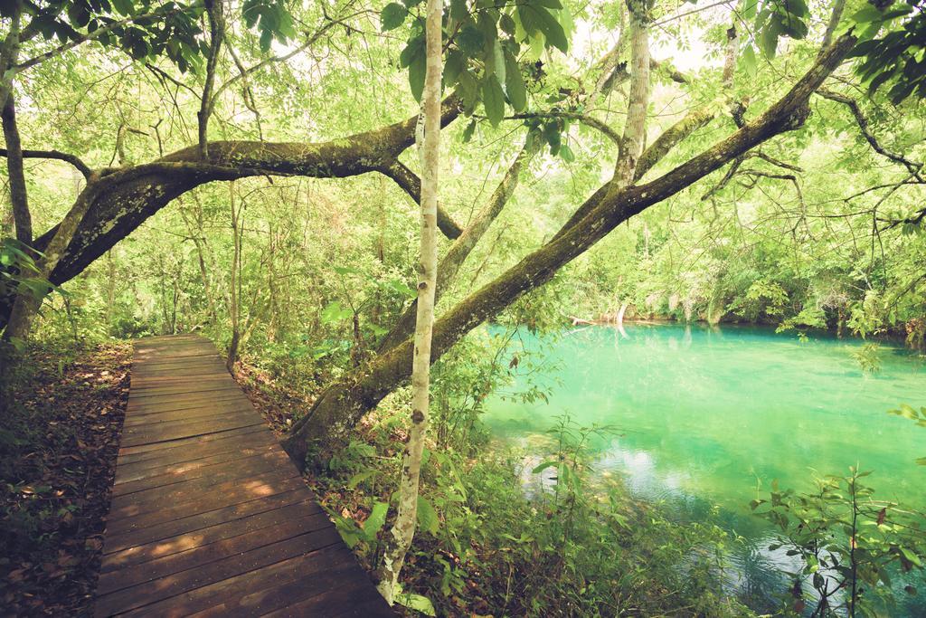 Pousada Boyra Bonito  Ngoại thất bức ảnh